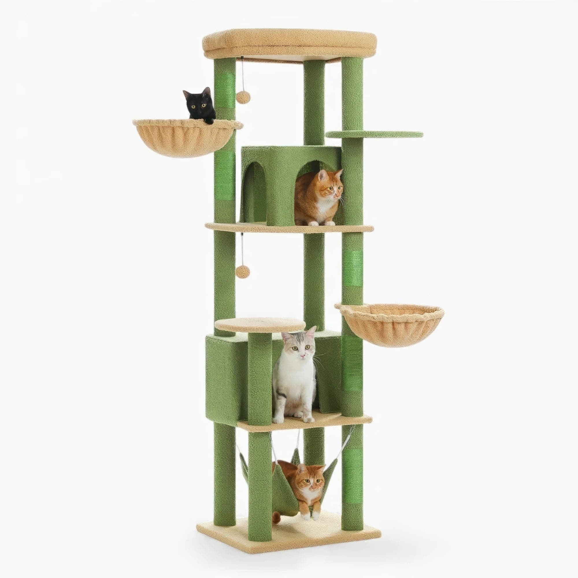 Arbre à chat - Émeraude