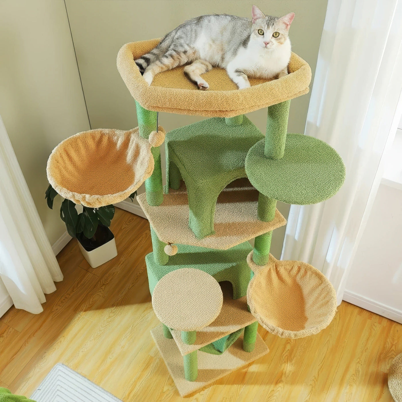 Arbre à chat - Émeraude