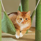 Arbre à chat - Émeraude