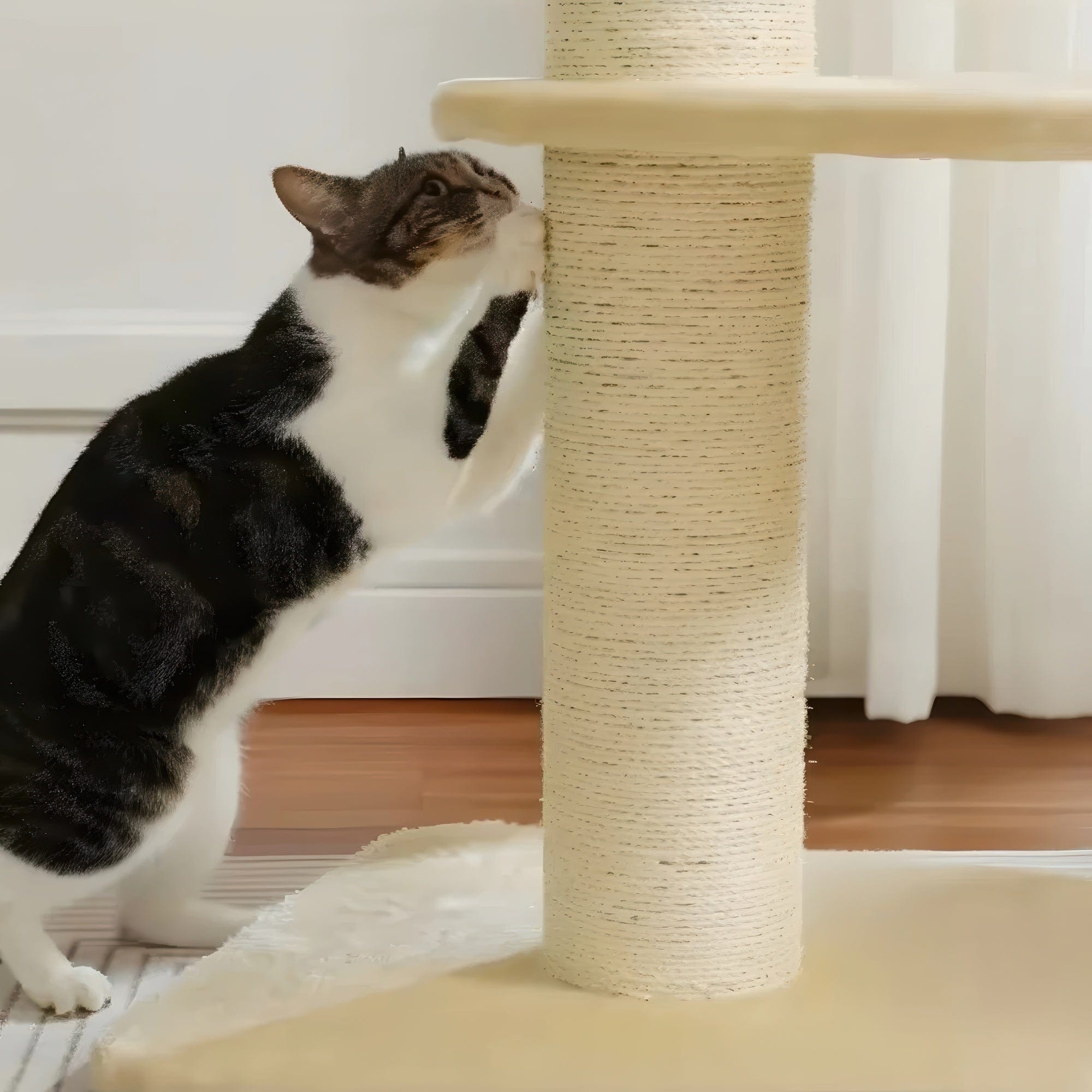 Arbre à chat - Épuré