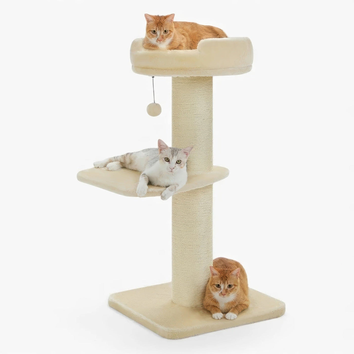 Arbre à chat - Épuré