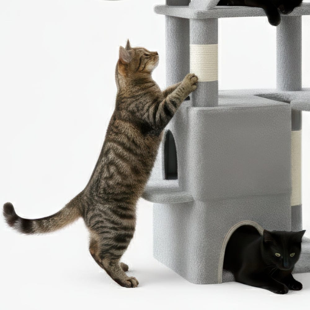 Arbre à chat - Esthétique