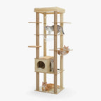 Arbre à chat - Étagère