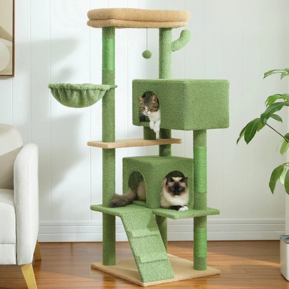 Arbre à chat - Exercice