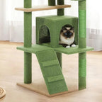 Arbre à chat - Exercice