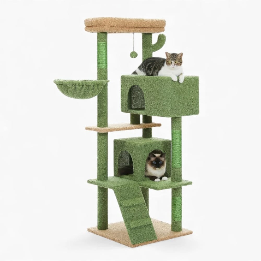 Arbre à chat - Exercice