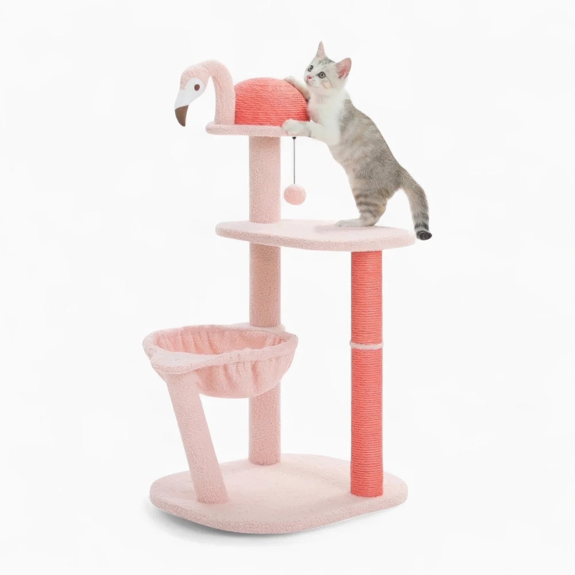 Arbre à chat - Flamand rose