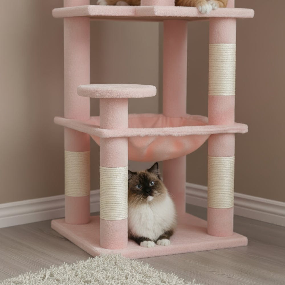 Arbre à chat - Flash