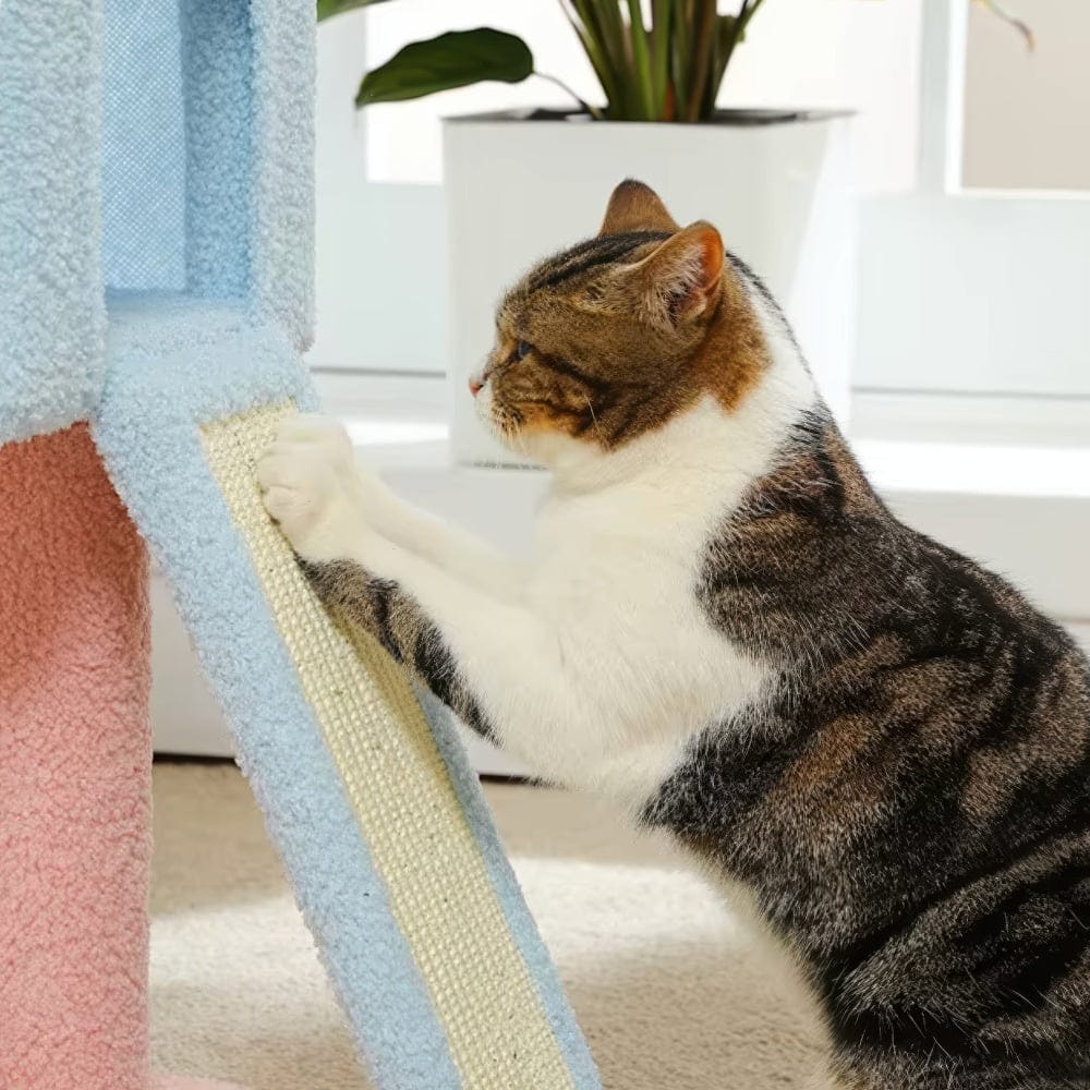 Arbre à chat - Floral