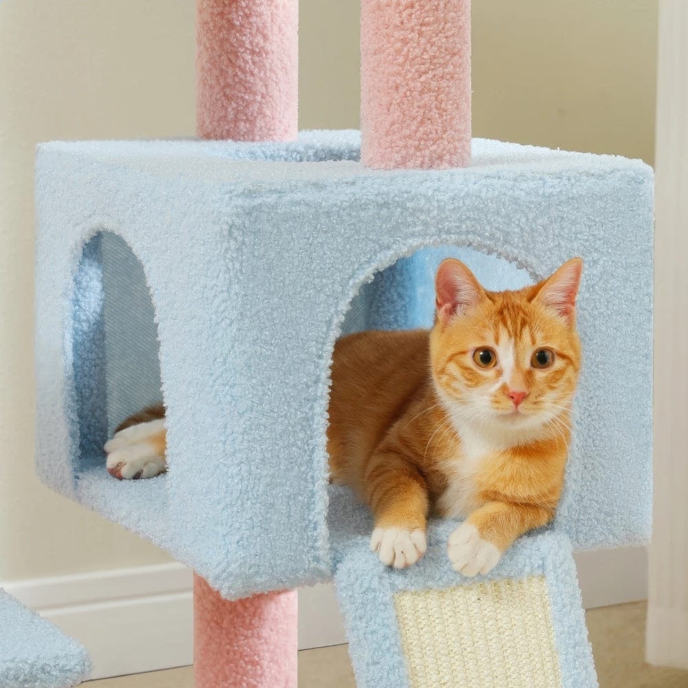 Arbre à chat - Floral