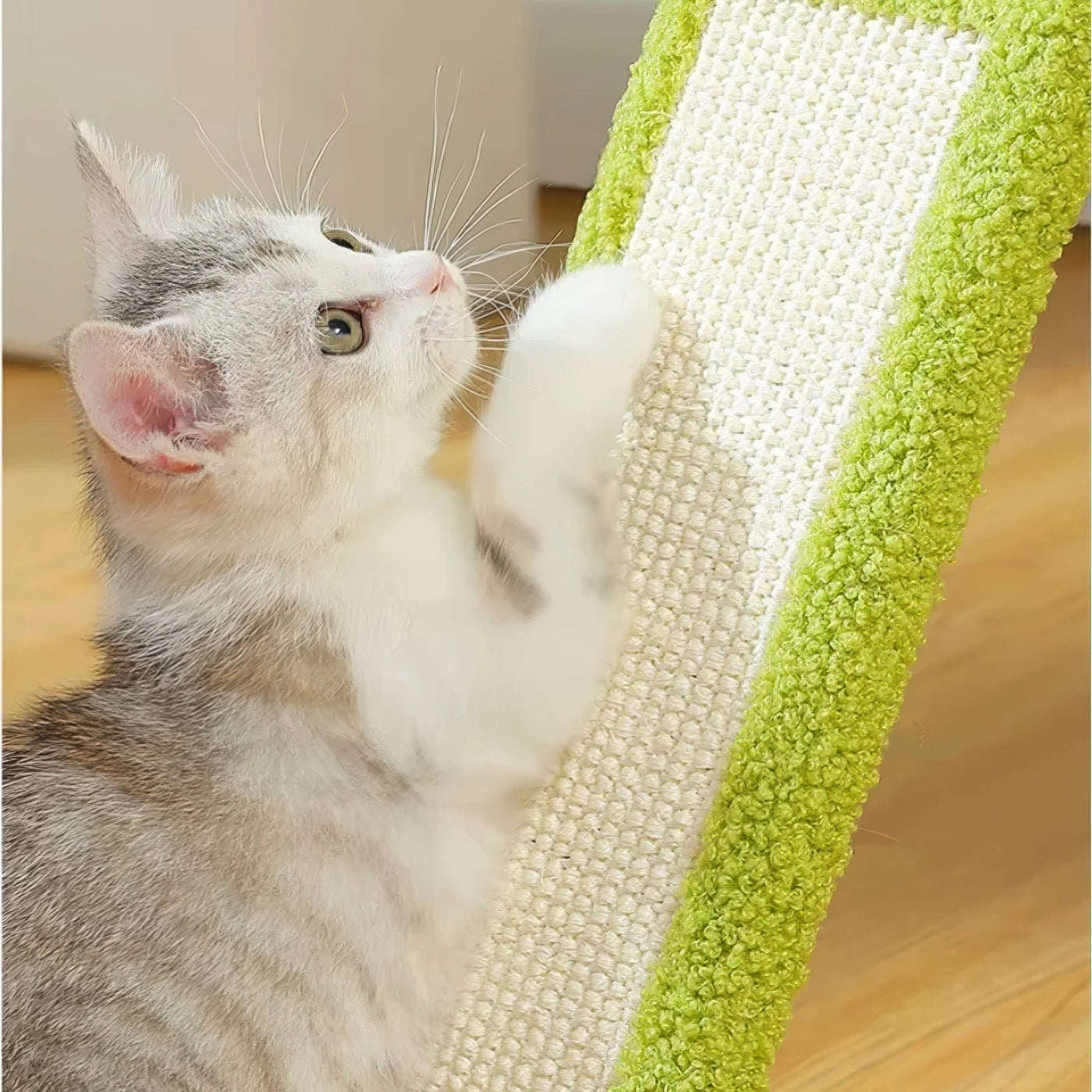 Arbre à chat - Fuchsia