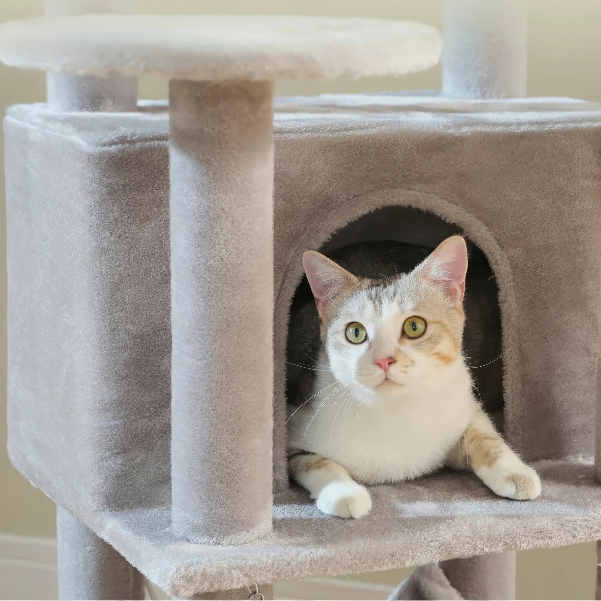 Arbre à chat - Grande taille