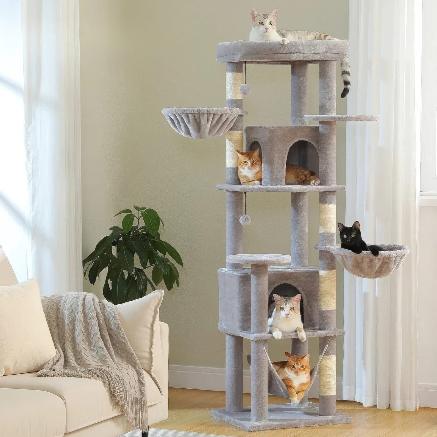 Arbre à chat - Grande taille