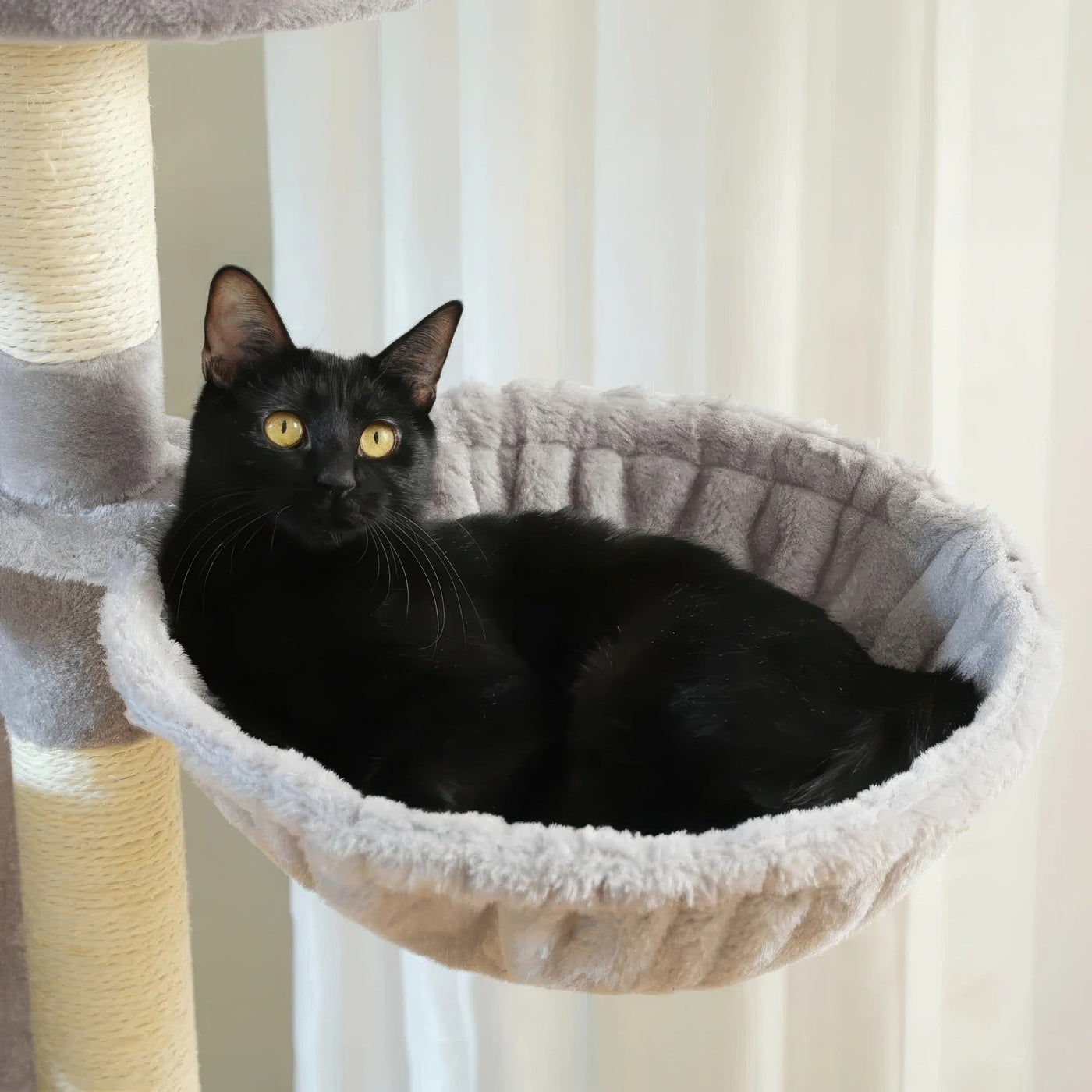 Arbre à chat - Grande taille