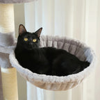 Arbre à chat - Grande taille