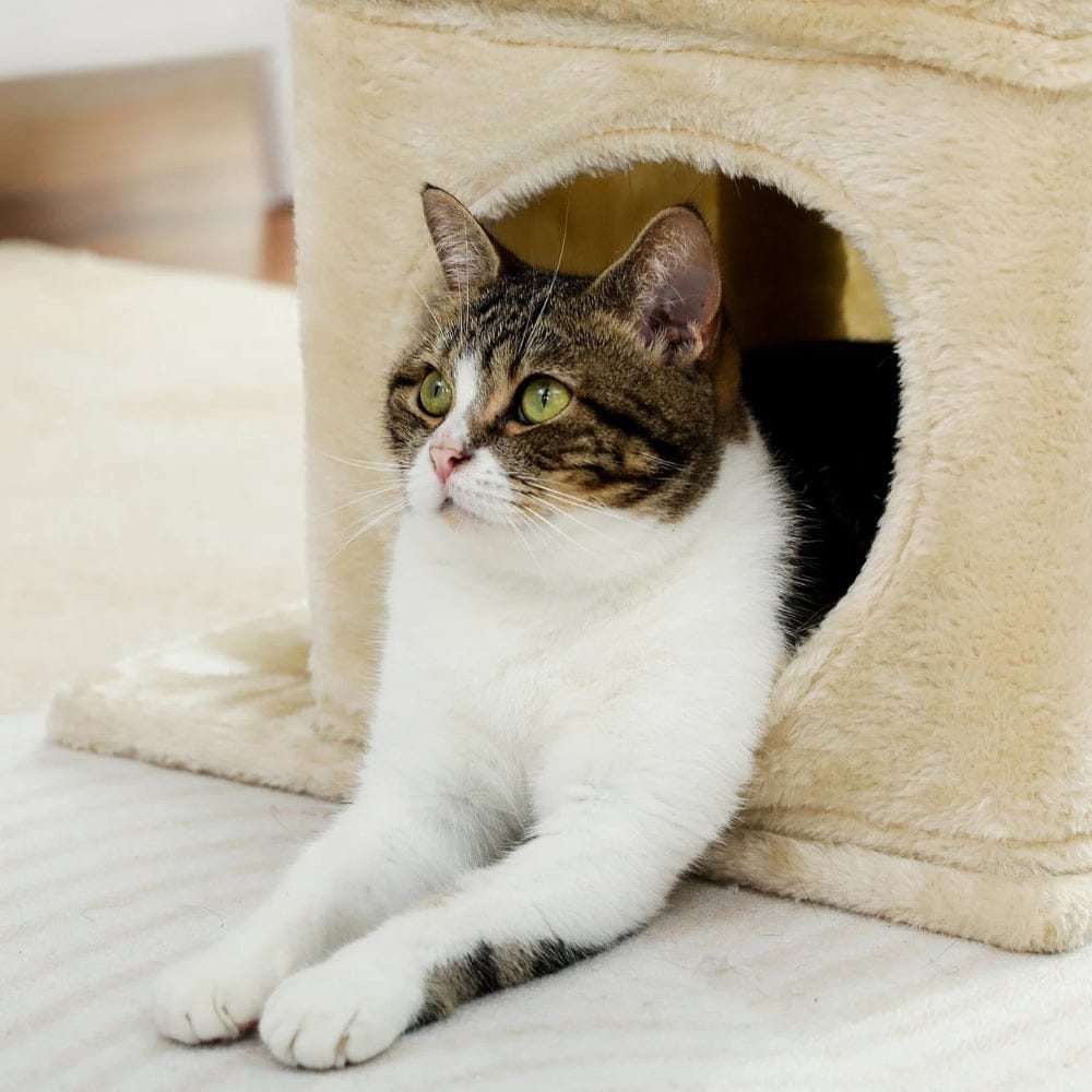 Arbre à chat griffoir beige