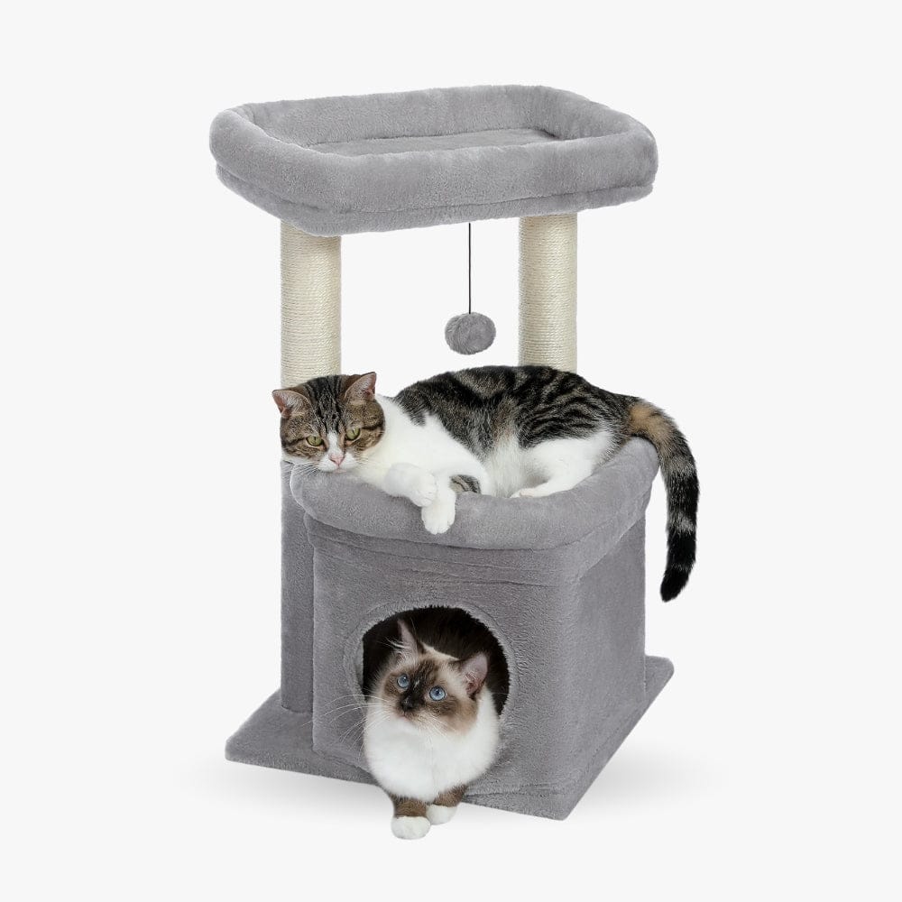 Arbre à chat griffoir gris