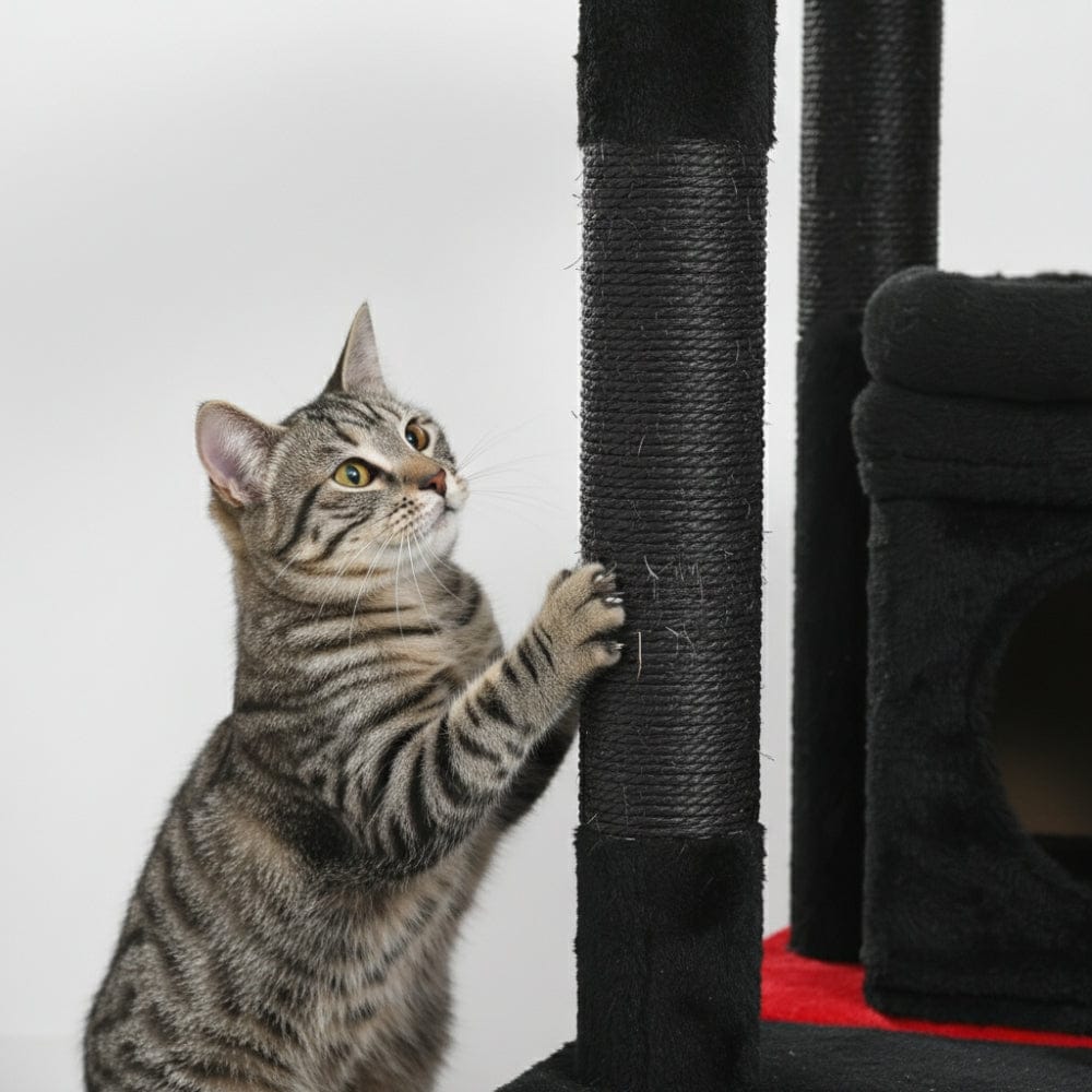 Arbre à chat griffoir noir