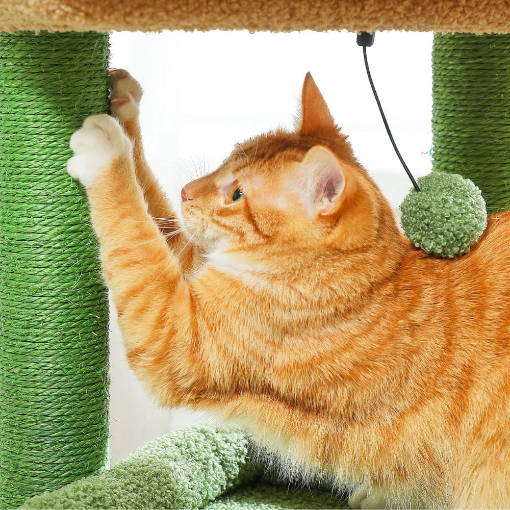 Arbre à chat griffoir vert