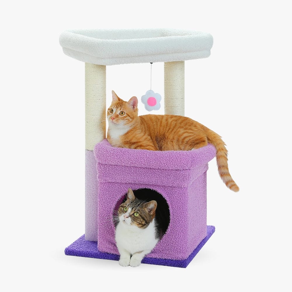 Arbre à chat griffoir violet