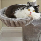 Arbre à chat - Gris clair