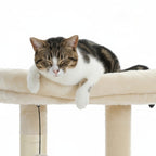 Arbre à chat hamac beige