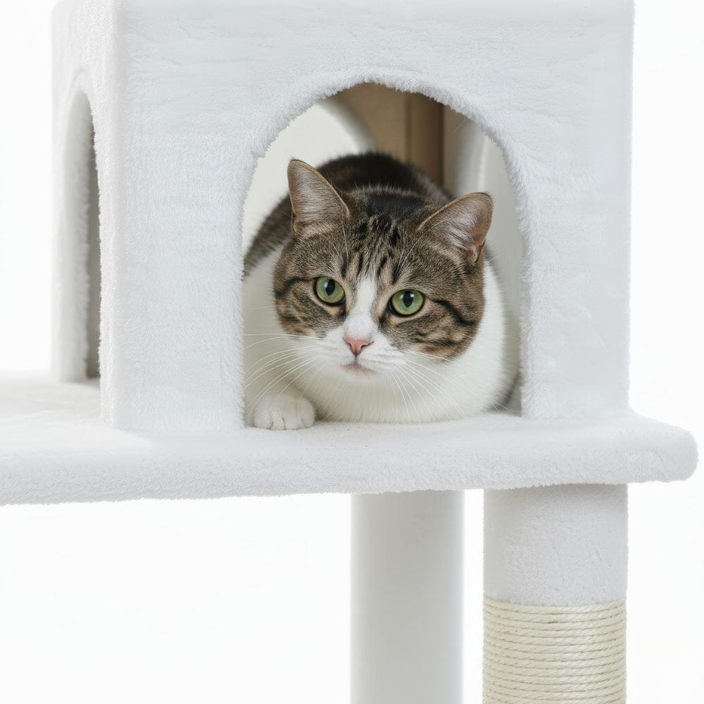 Arbre à chat hamac blanc