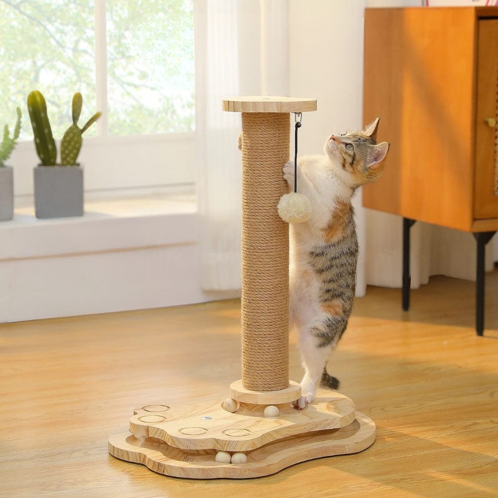 Arbre à chat - Intéractif