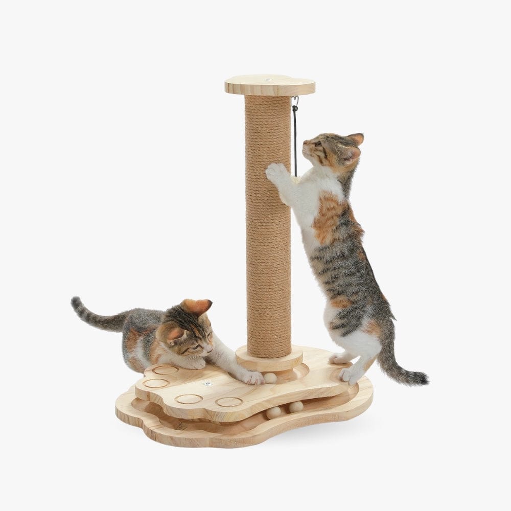 Arbre à chat - Intéractif