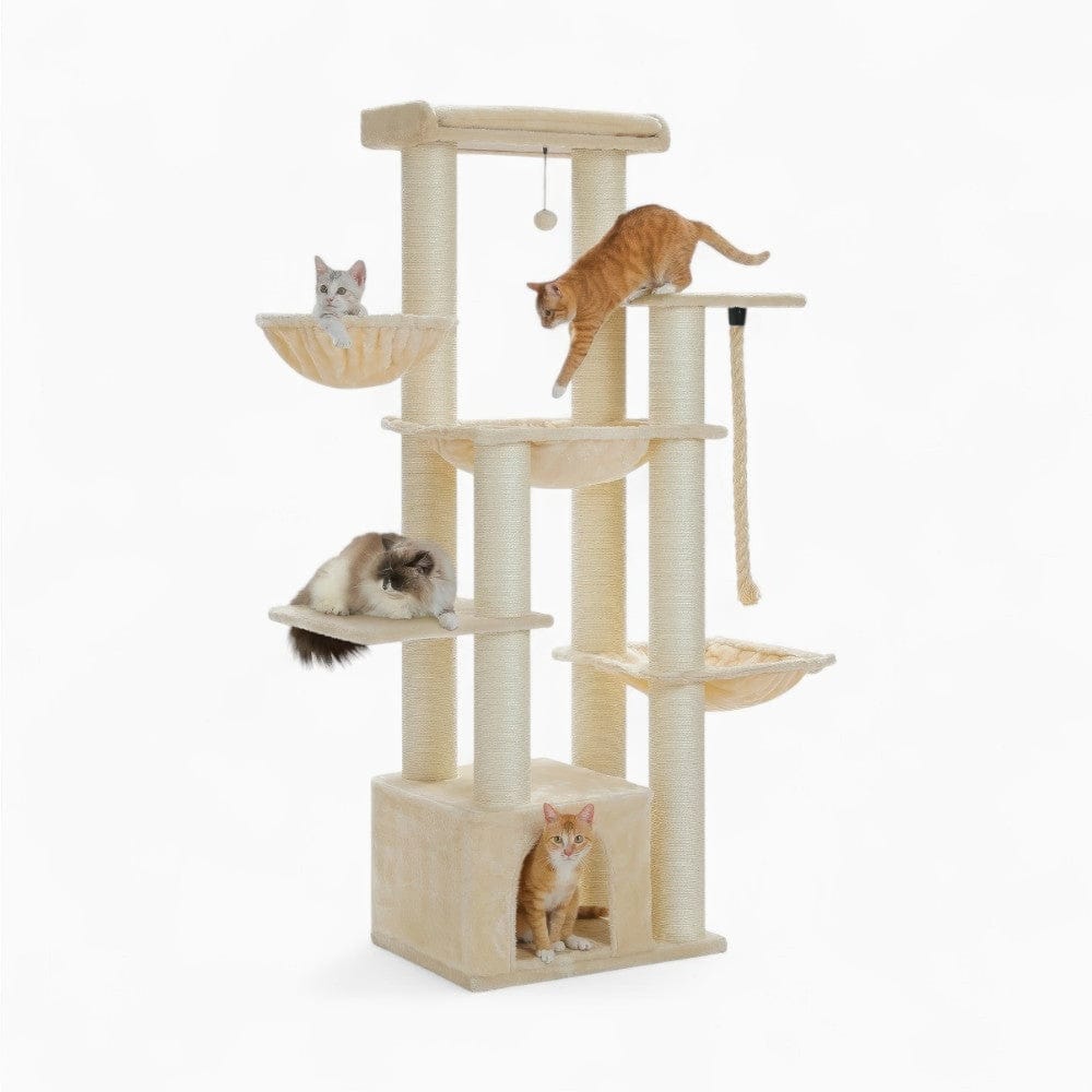 Arbre à chat - Intérieur