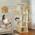 Arbre à chat - Intérieur