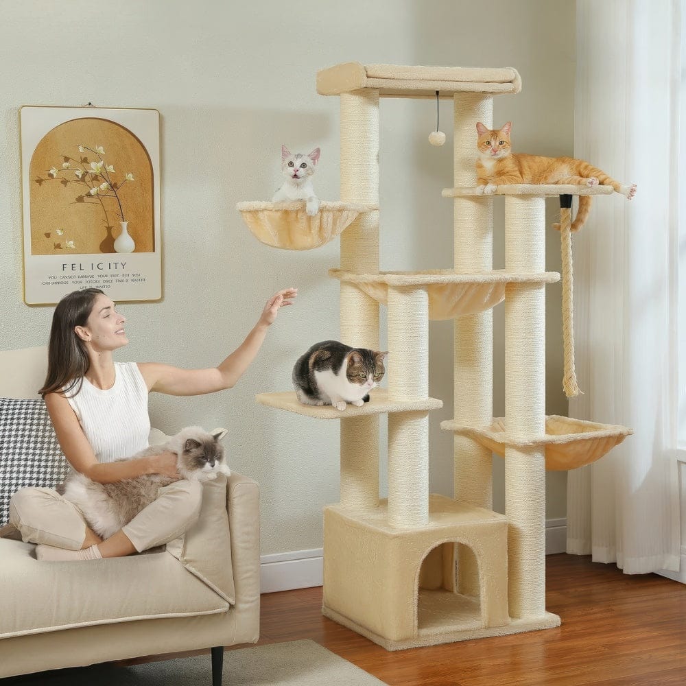 Arbre à chat - Intérieur