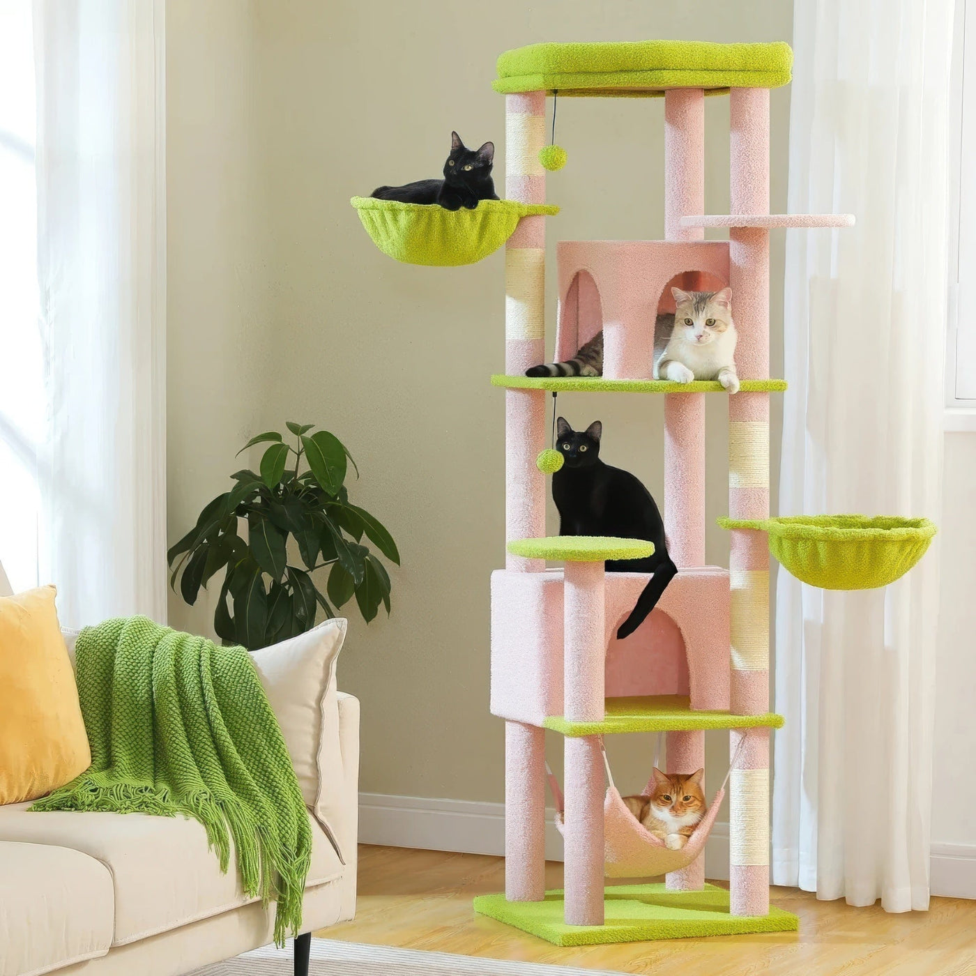 Arbre à chat - Jardin