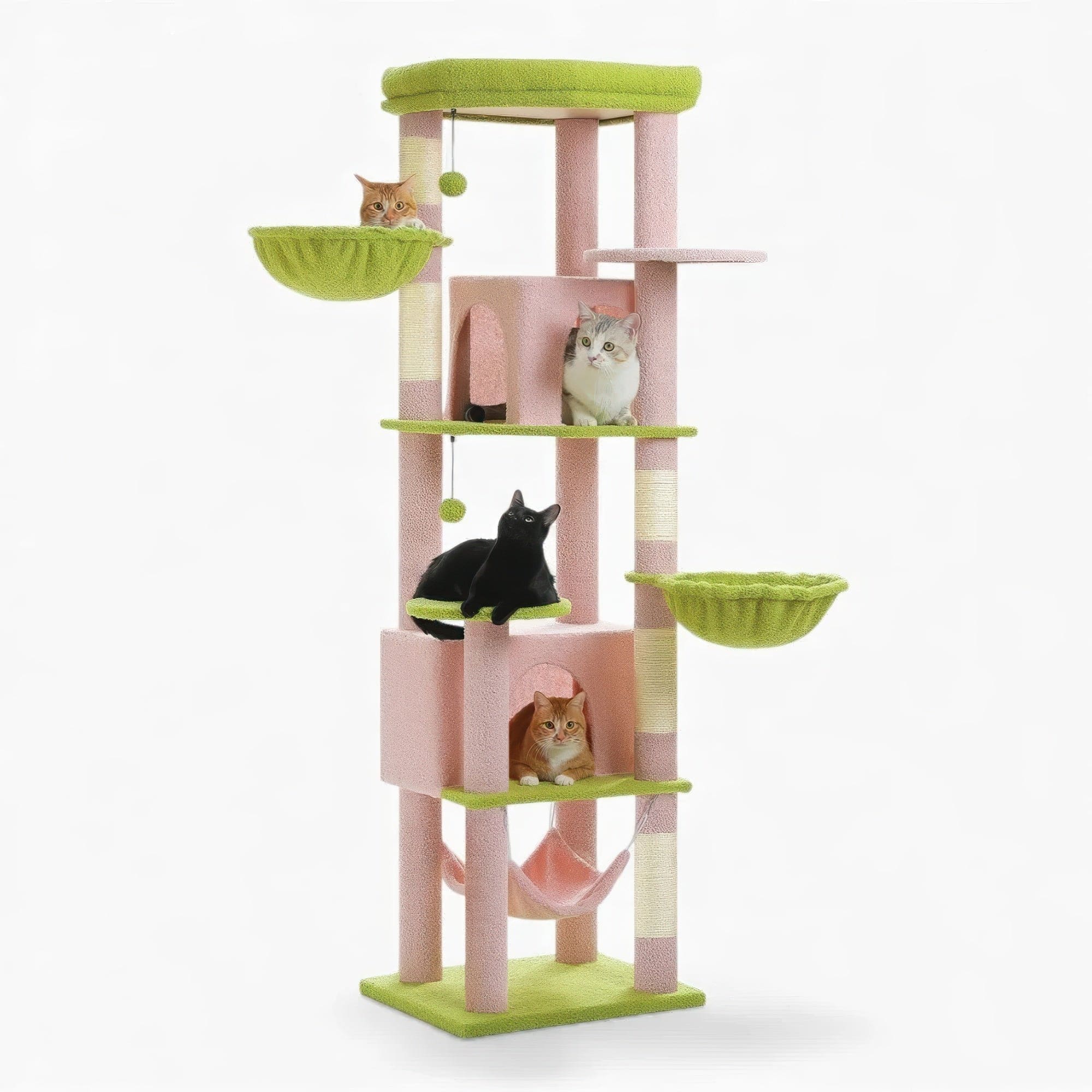 Arbre à chat - Jardin