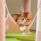 Arbre à chat - Jardin