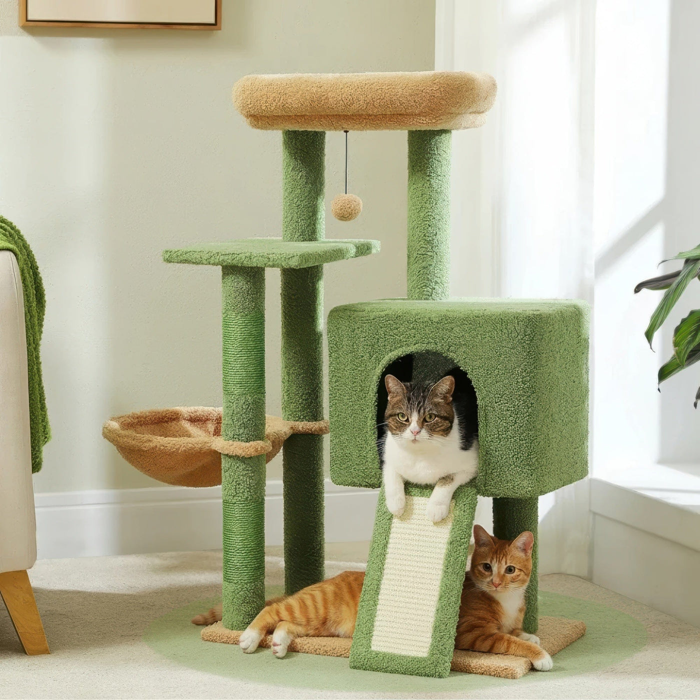 Arbre à chat - Laine