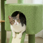 Arbre à chat - Laine