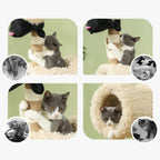 Arbre à chat - Lama