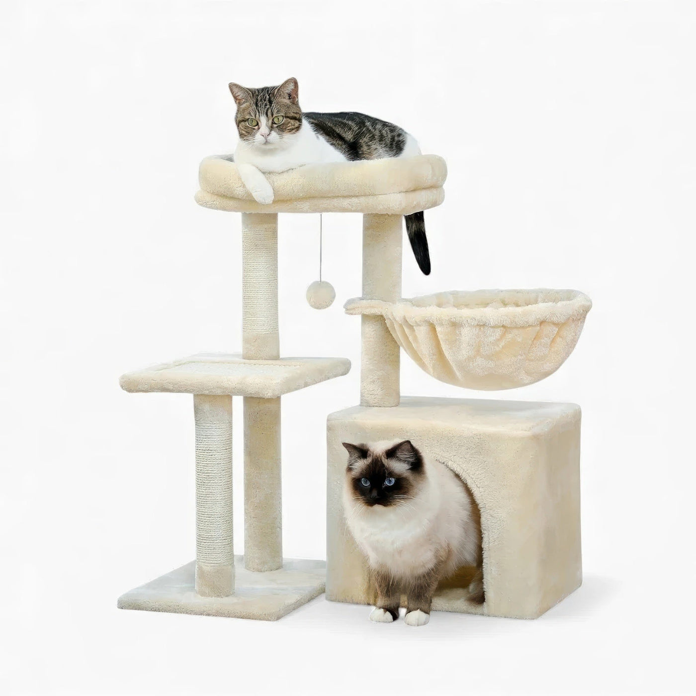 Arbre à chat - Lisse