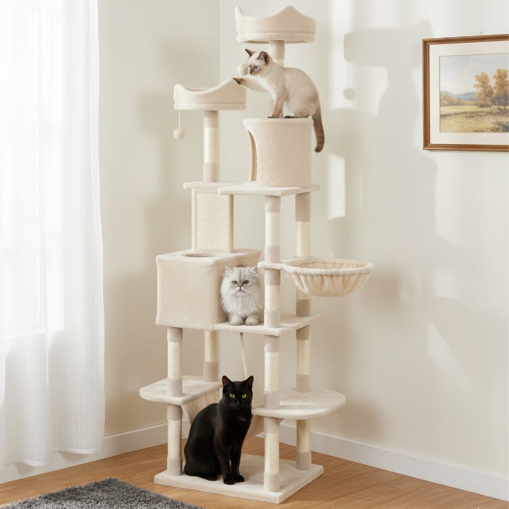 Arbre à chat maine coon beige