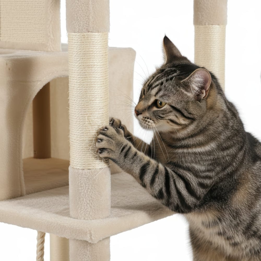 Arbre à chat maine coon beige