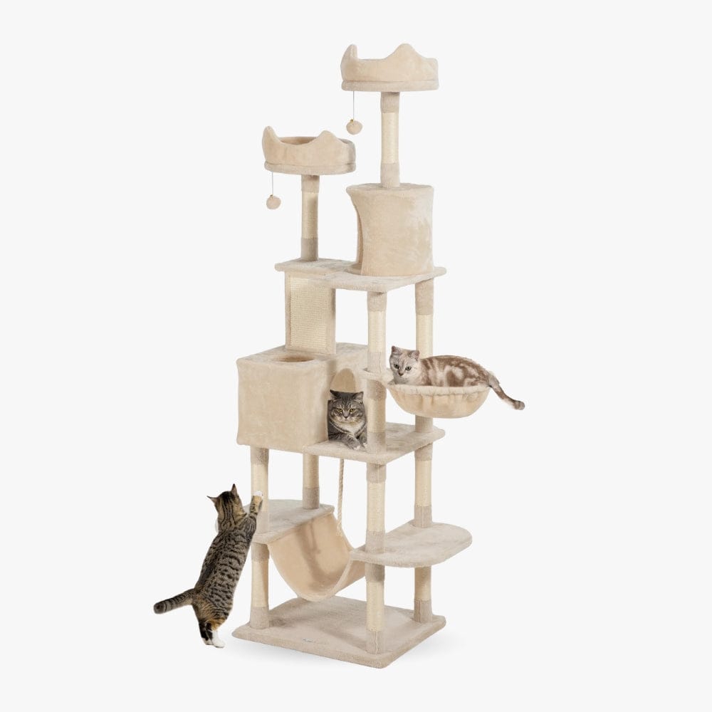 Arbre à chat maine coon beige