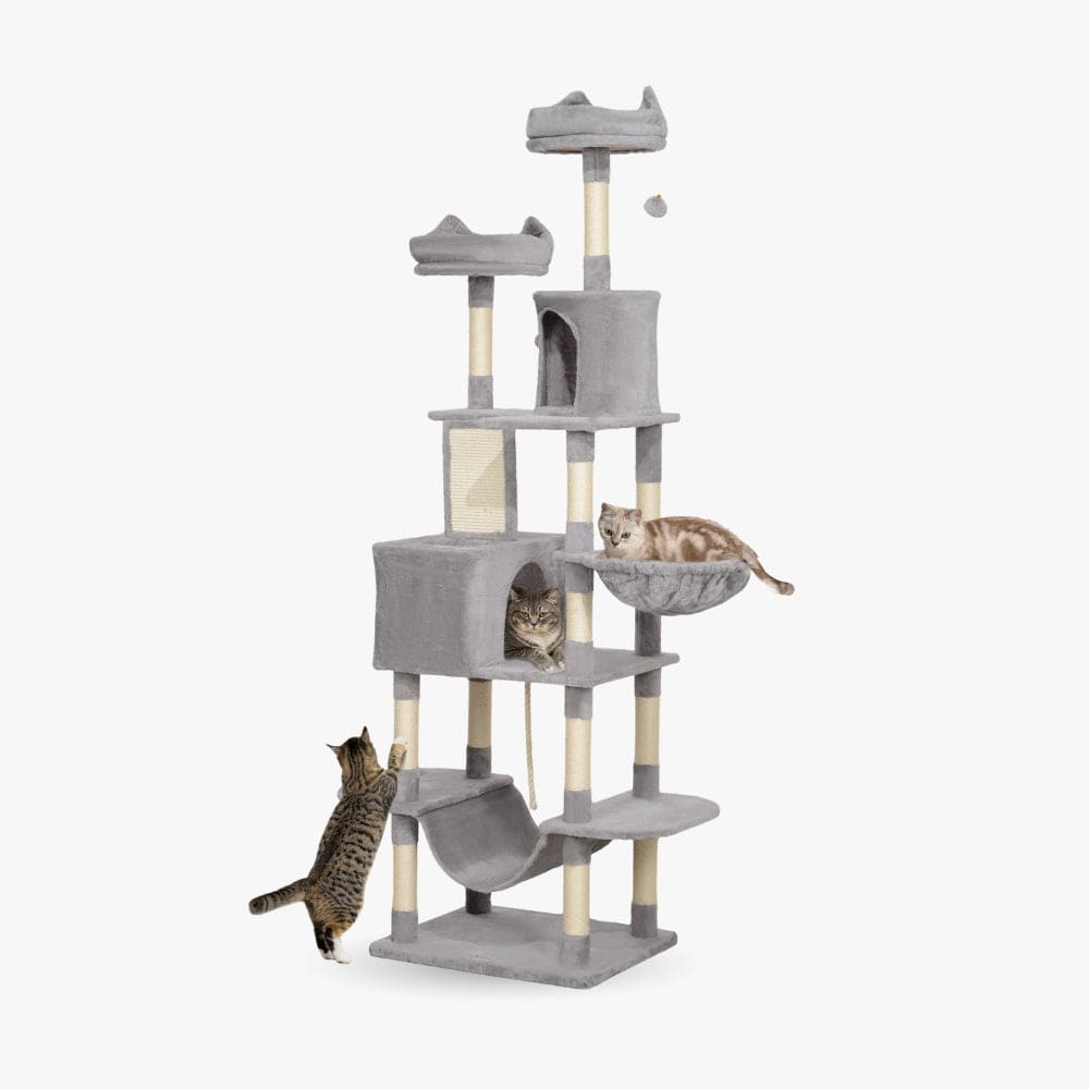 Arbre à chat maine coon doux