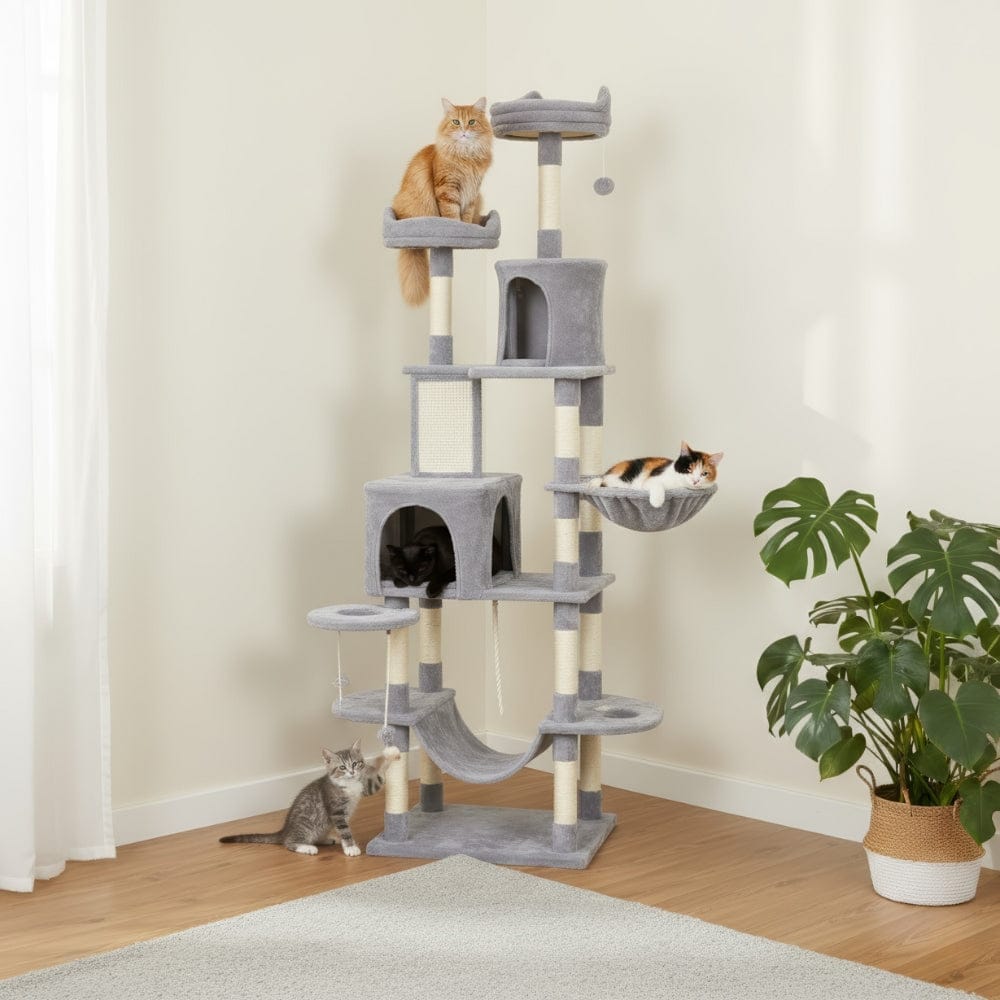 Arbre à chat maine coon doux