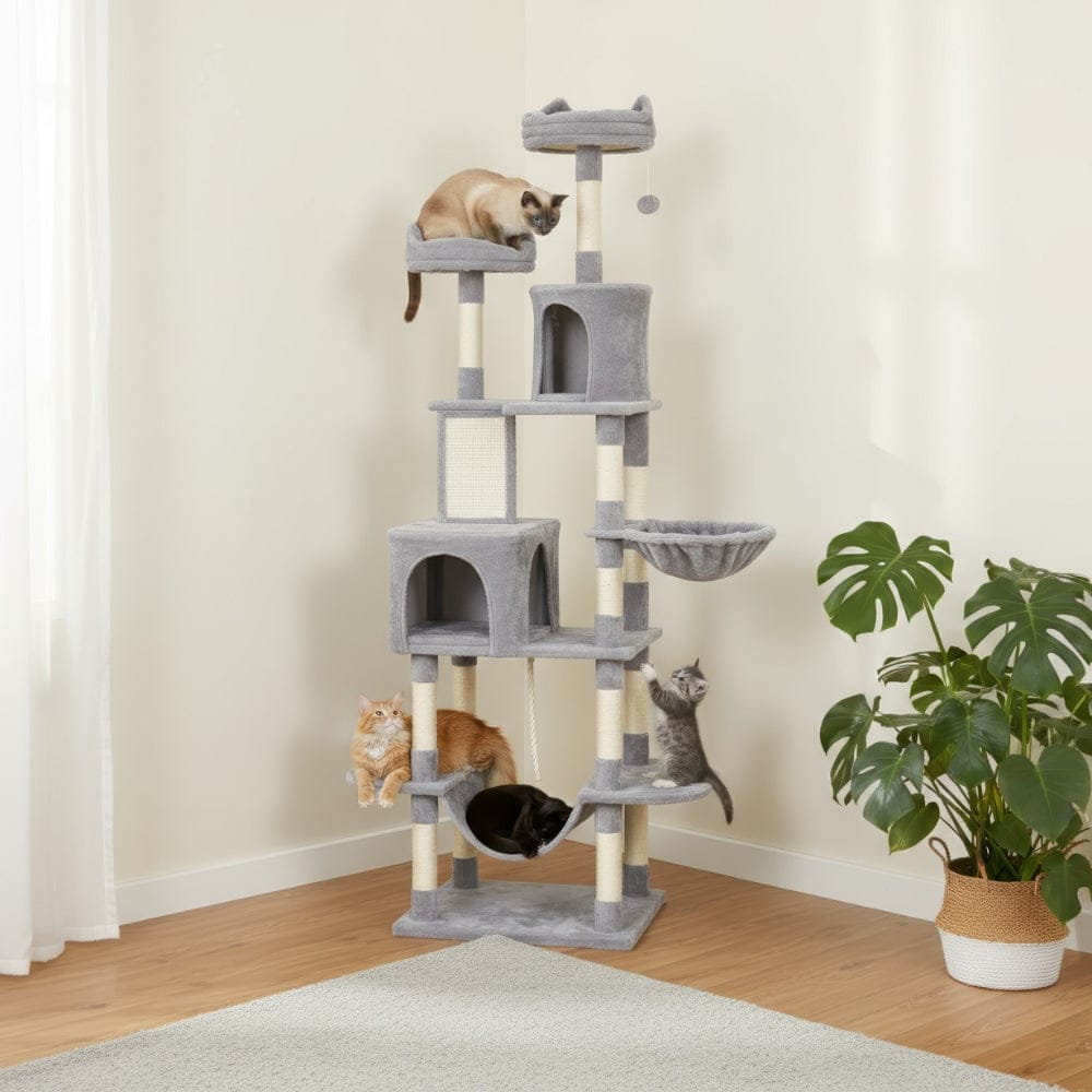 Arbre à chat maine coon doux