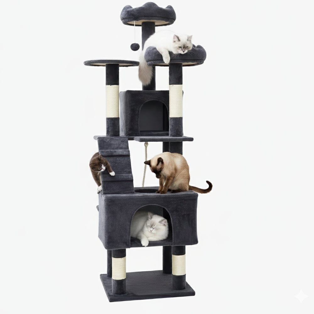 Arbre à chat Maine Coon gris