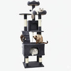 Arbre à chat Maine Coon gris