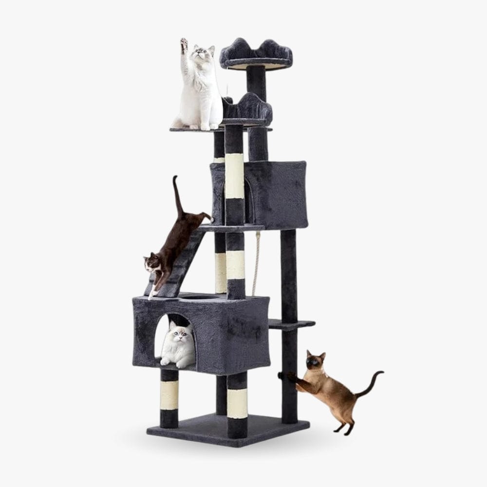 Arbre à chat Maine Coon gris