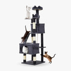 Arbre à chat Maine Coon gris