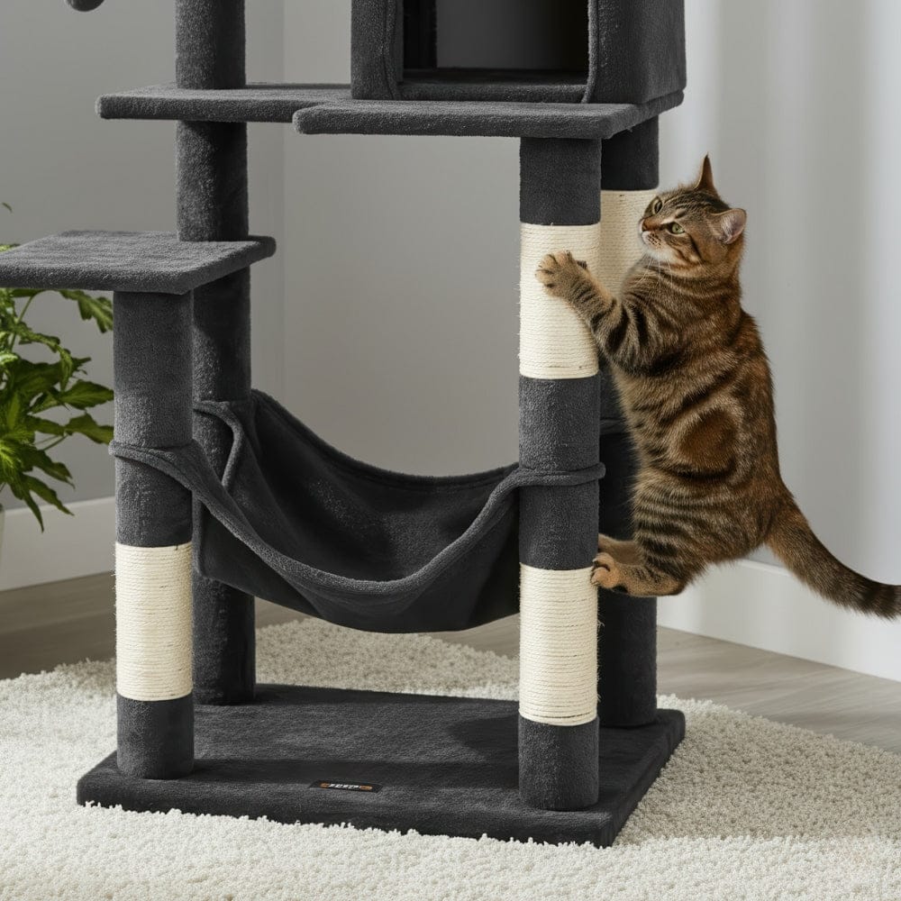 Arbre à chat maine coon noir